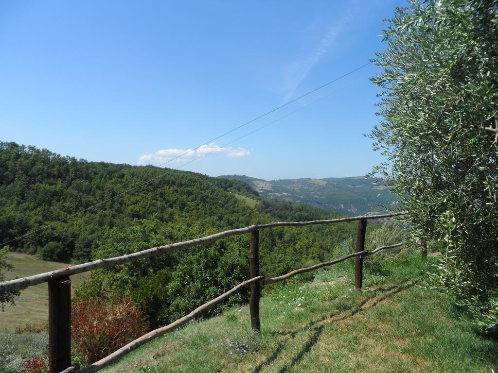 Agriturismo La Terrazza Valfabbrica Luaran gambar