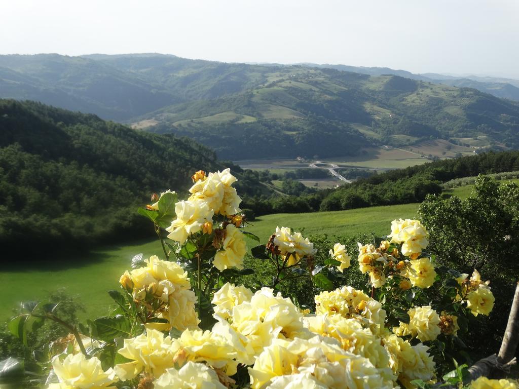 Agriturismo La Terrazza Valfabbrica Luaran gambar